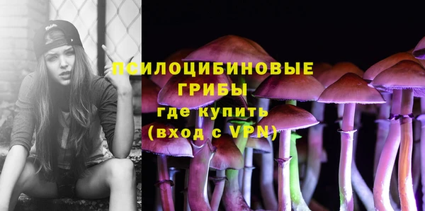 дурь Бронницы