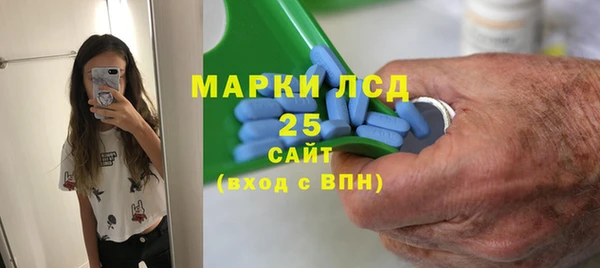 прущие грибы Белокуриха