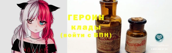 прущие грибы Белокуриха