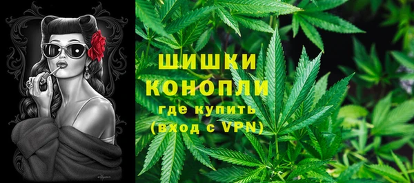 прущие грибы Белокуриха