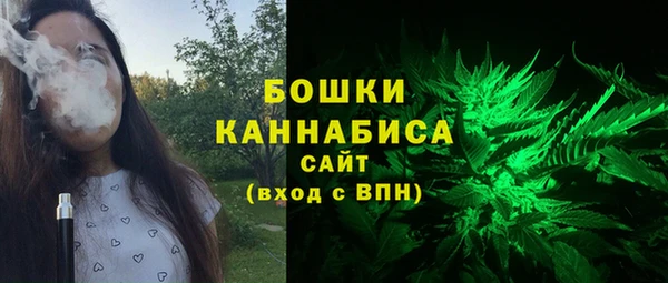 прущие грибы Белокуриха